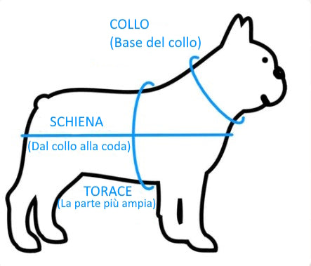 BULLO PIUMINO TORTORA