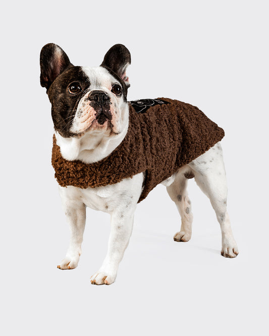 PELLICCIA BROWN PER BULLO