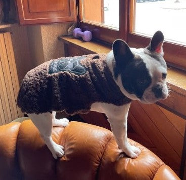 PELLICCIA BROWN PER BULLO