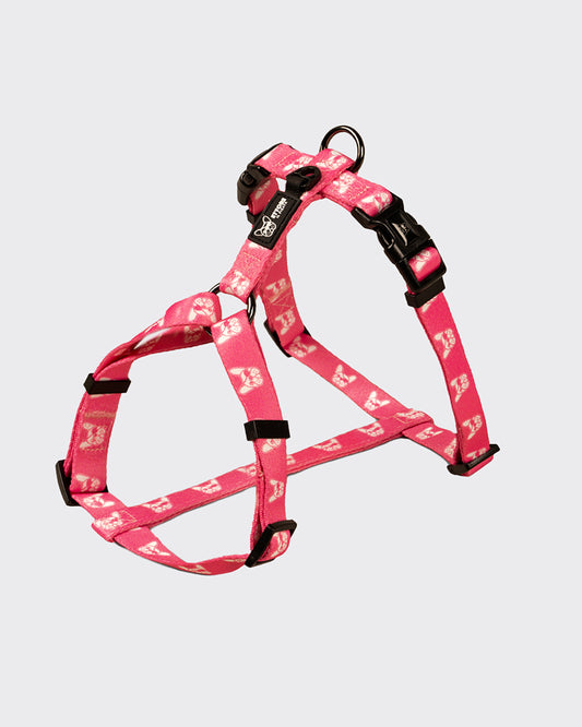 Kit  Guinzaglio, Collare e Pettorina H Ettore il Pirata "ROSA BARBIE"