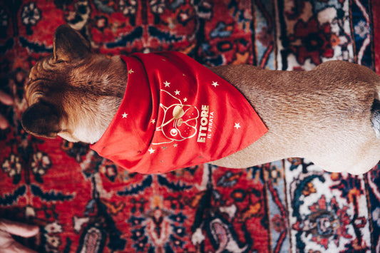 BANDANA ROSSA (personalizzabile)